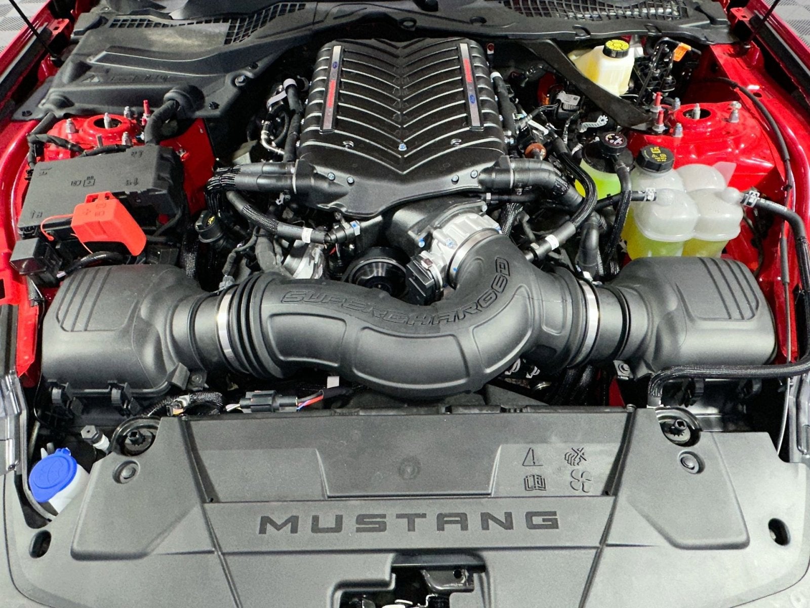 2025 Ford Mustang GT Premium RTR SPEC 3