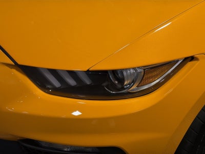 2019 Ford Mustang Shelby GT350