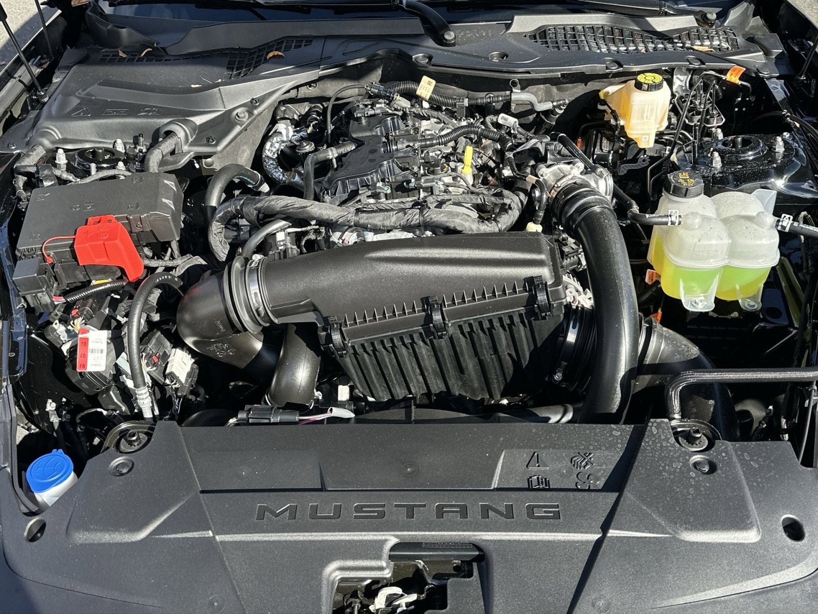 2026 Ford Mustang EcoBoost