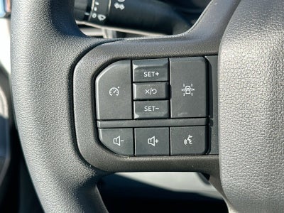 2026 Ford F-550SD XL Western Pro