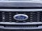 2025 Ford F-350SD Platinum Black Widow