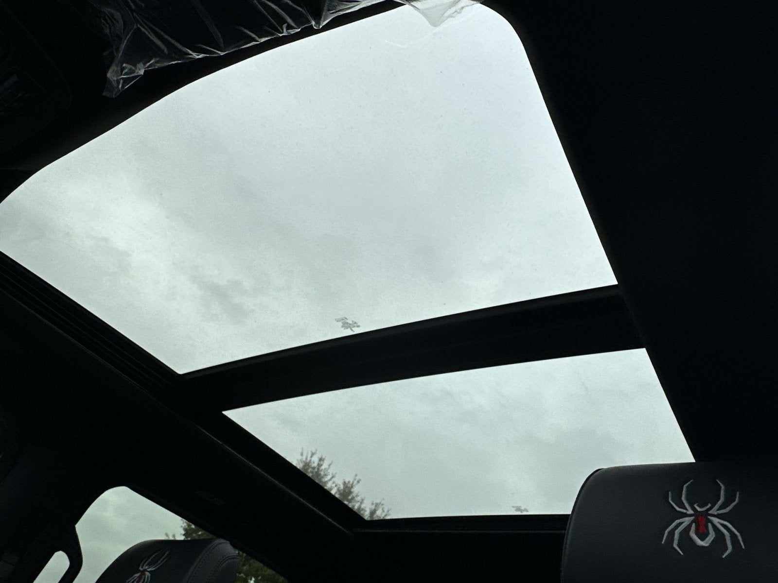 2025 Ford F-350SD Platinum Black Widow