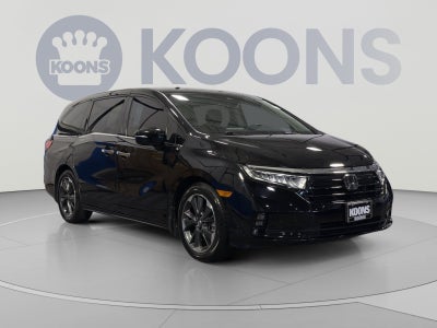 2024 Honda Odyssey Elite