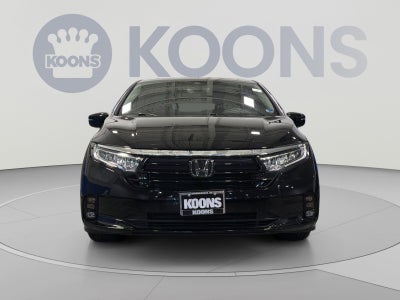 2024 Honda Odyssey Elite