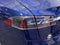 2020 Tesla Model S Long Range Plus