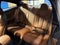 2023 BMW M4 Base